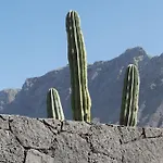 Canaryislandshost I Serena Вилла