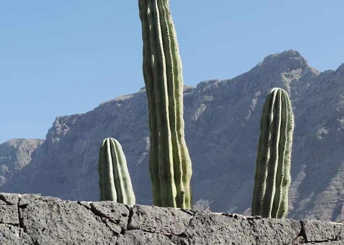 Canaryislandshost I Serena 빌라